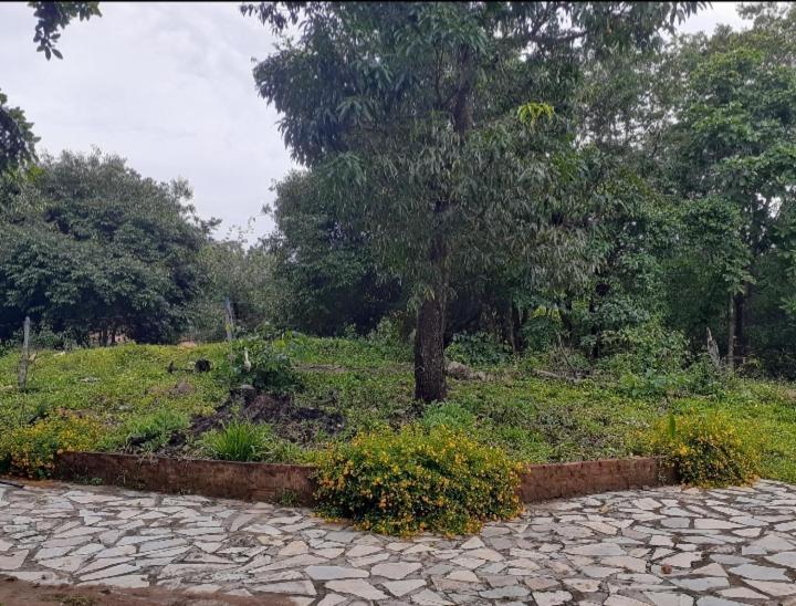 Sítio São Benedito Pirenópolis Exterior foto